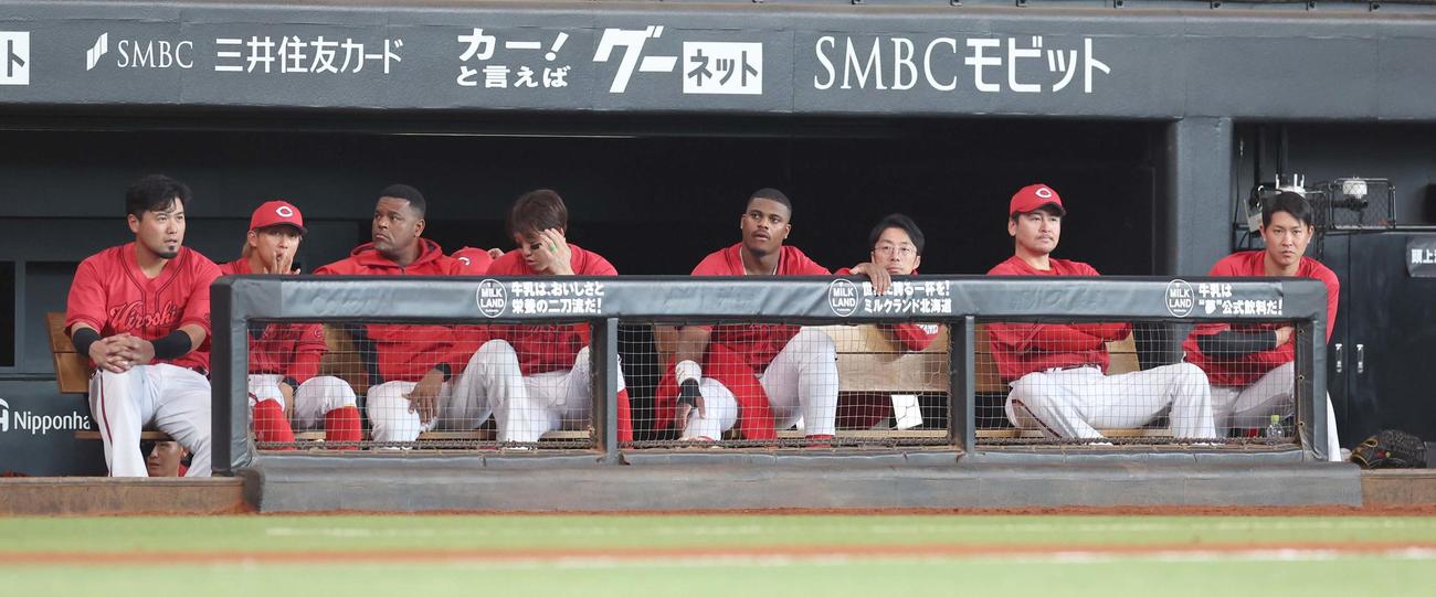 日本ハム対広島　試合を見つめる広島ナイン（撮影・黒川智章）