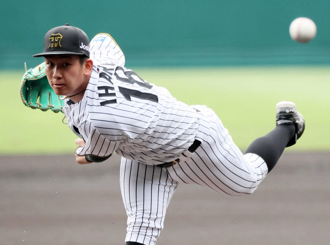 阪神伊原陵人（2025年撮影）