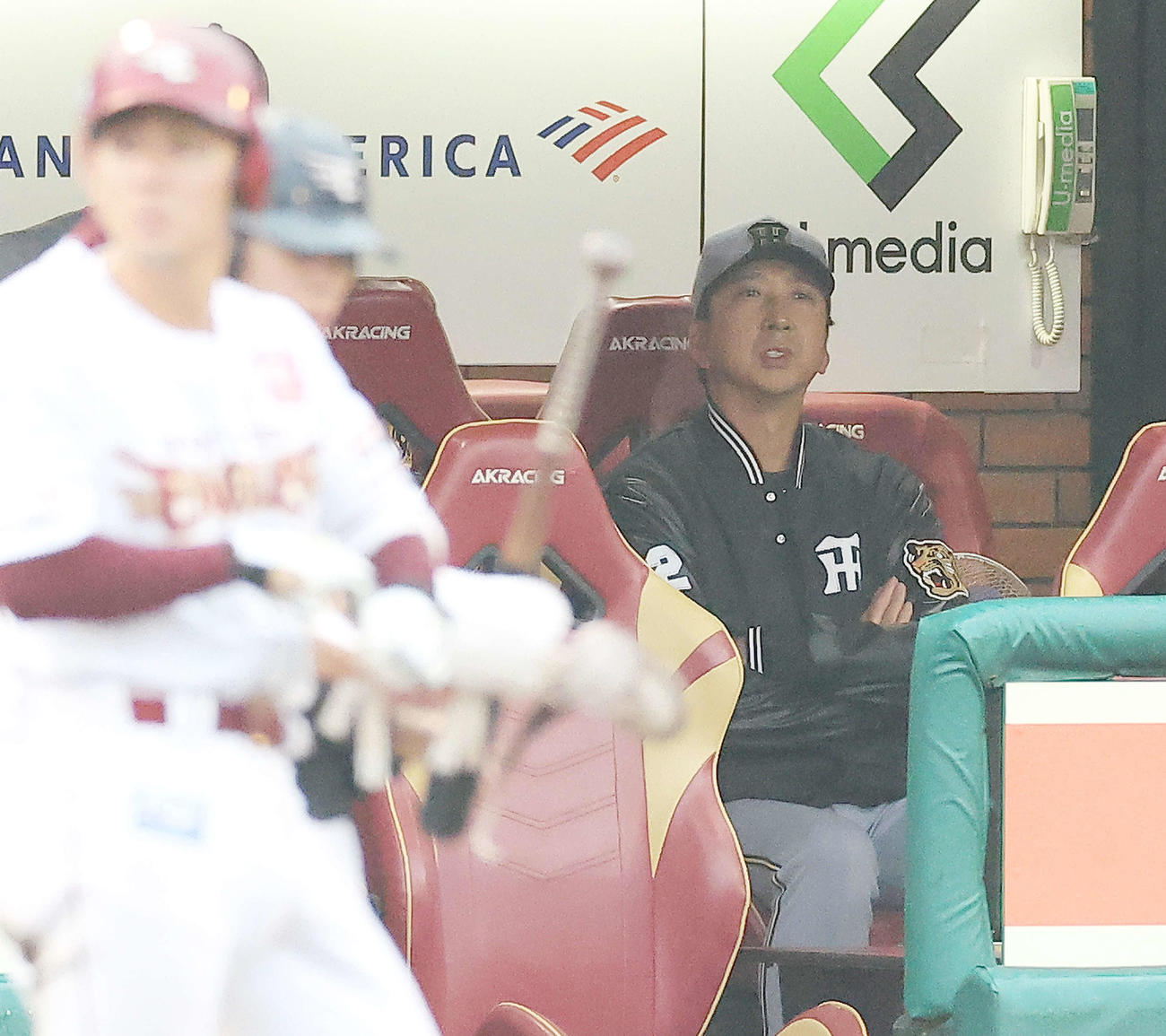 楽天対阪神　8回裏、険しい表情で戦況を見守る藤川監督（撮影・河田真司）