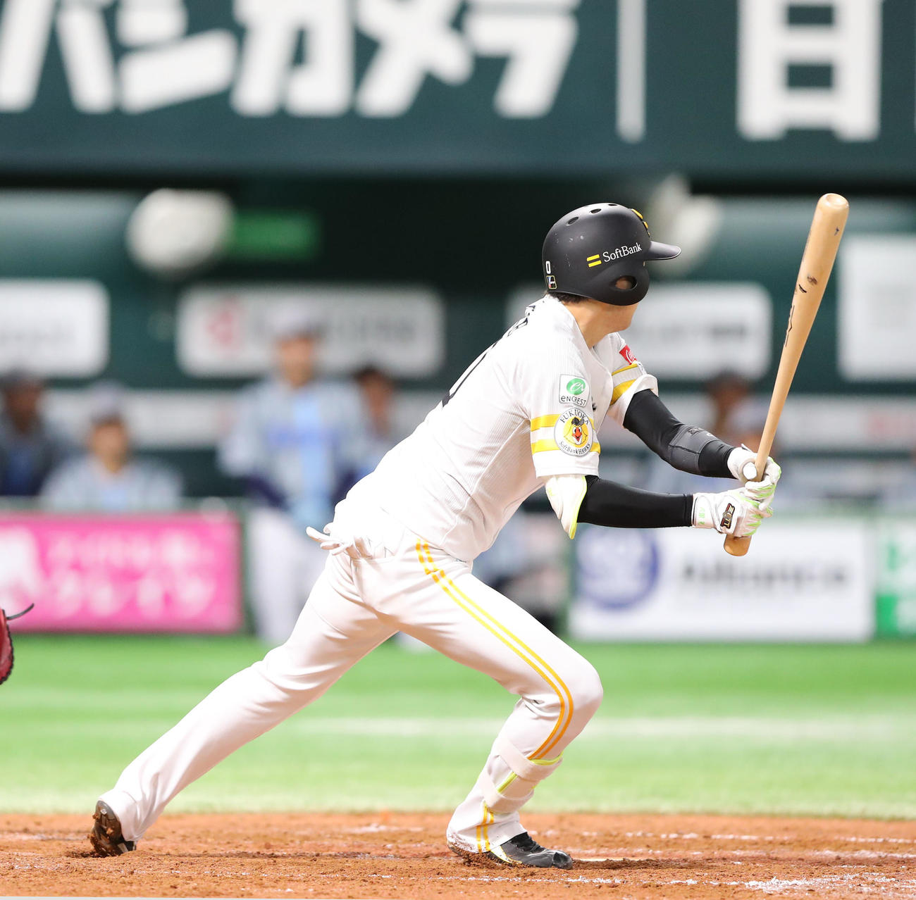 ソフトバンク対DeNA 5回裏ソフトバンク2死二塁、川瀬は左越えに適時二塁打を放つ（撮影・梅根麻紀）