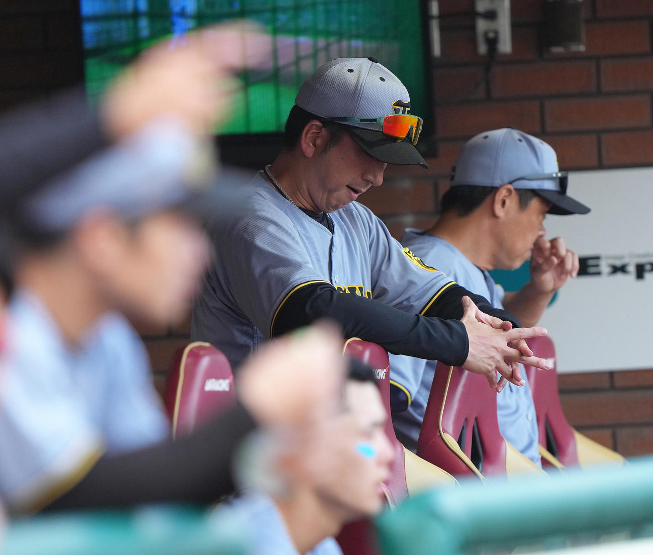 楽天対阪神　ベンチでうつむく藤川監督（撮影・足立雅史）