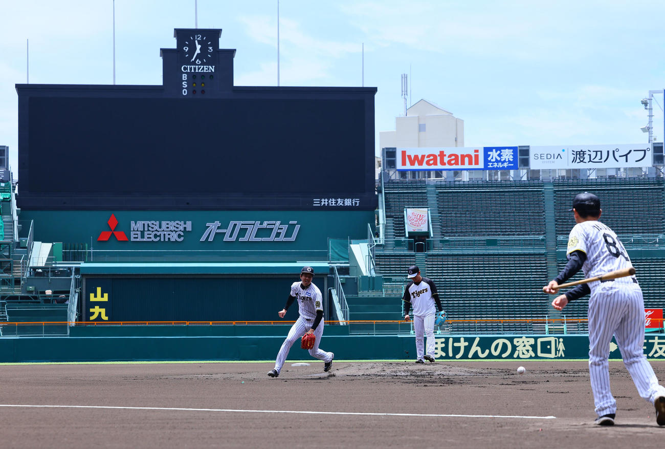 ノックを受ける阪神才木（左）と村上（撮影・藤尾明華）