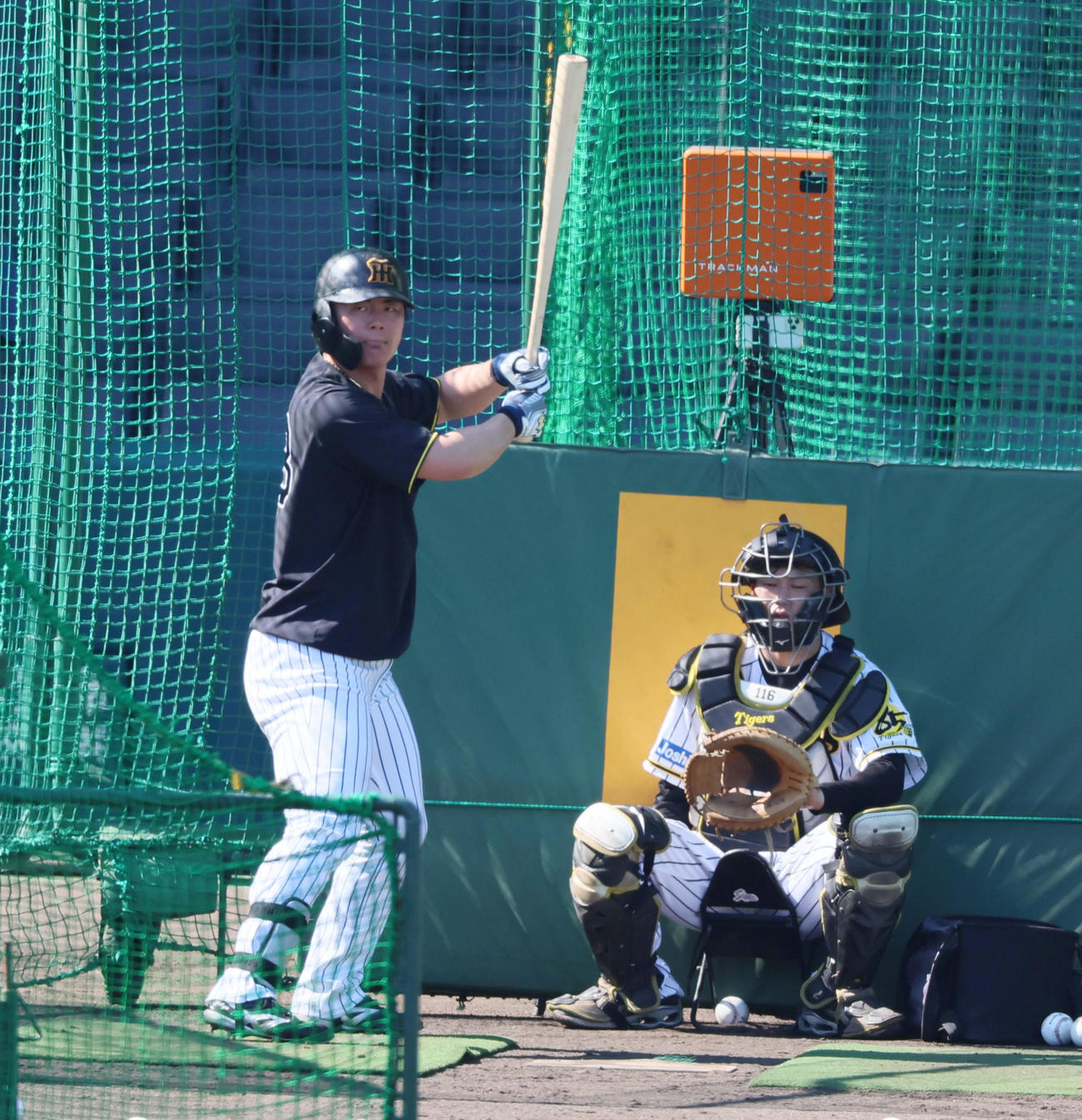 阪神対ロッテ　打撃練習する前川（撮影・加藤哉）