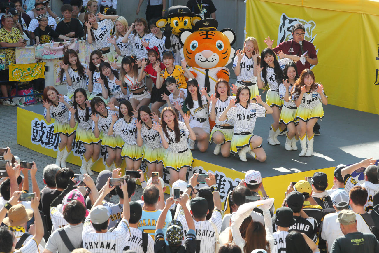 阪神対ロッテ　台湾デーを盛り上げるタイガースガールズと台湾プロ野球チアガール（撮影・上山淳一）