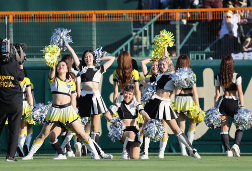 阪神対ロッテ　試合前に一緒に踊るタイガースガールズとMスプラッシュ（撮影・宮崎幸一）
