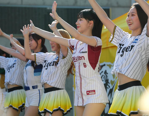 阪神対ロッテ　台湾デーでタイガースガールズとコラボでダンスする台湾プロ野球チアガール（撮影・上山淳一）