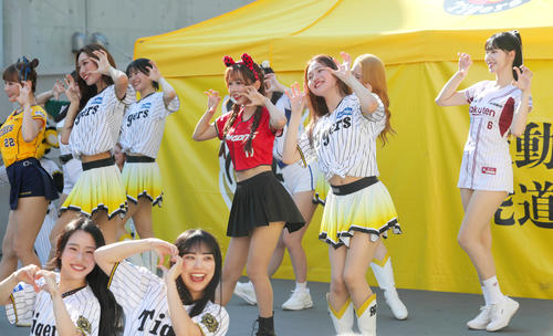 阪神対ロッテ　台湾デーでタイガースガールズとコラボでダンスする台湾プロ野球チアガール（撮影・上山淳一）