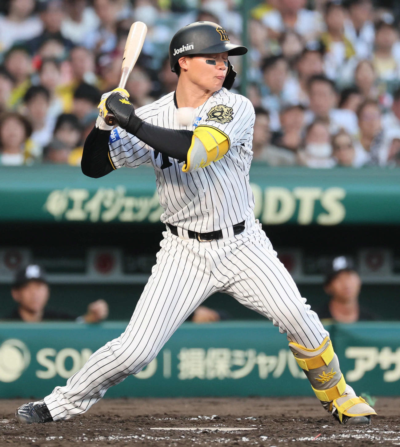 阪神対ロッテ　3回裏阪神2死一塁、森下は死球を受ける（撮影・宮崎幸一）