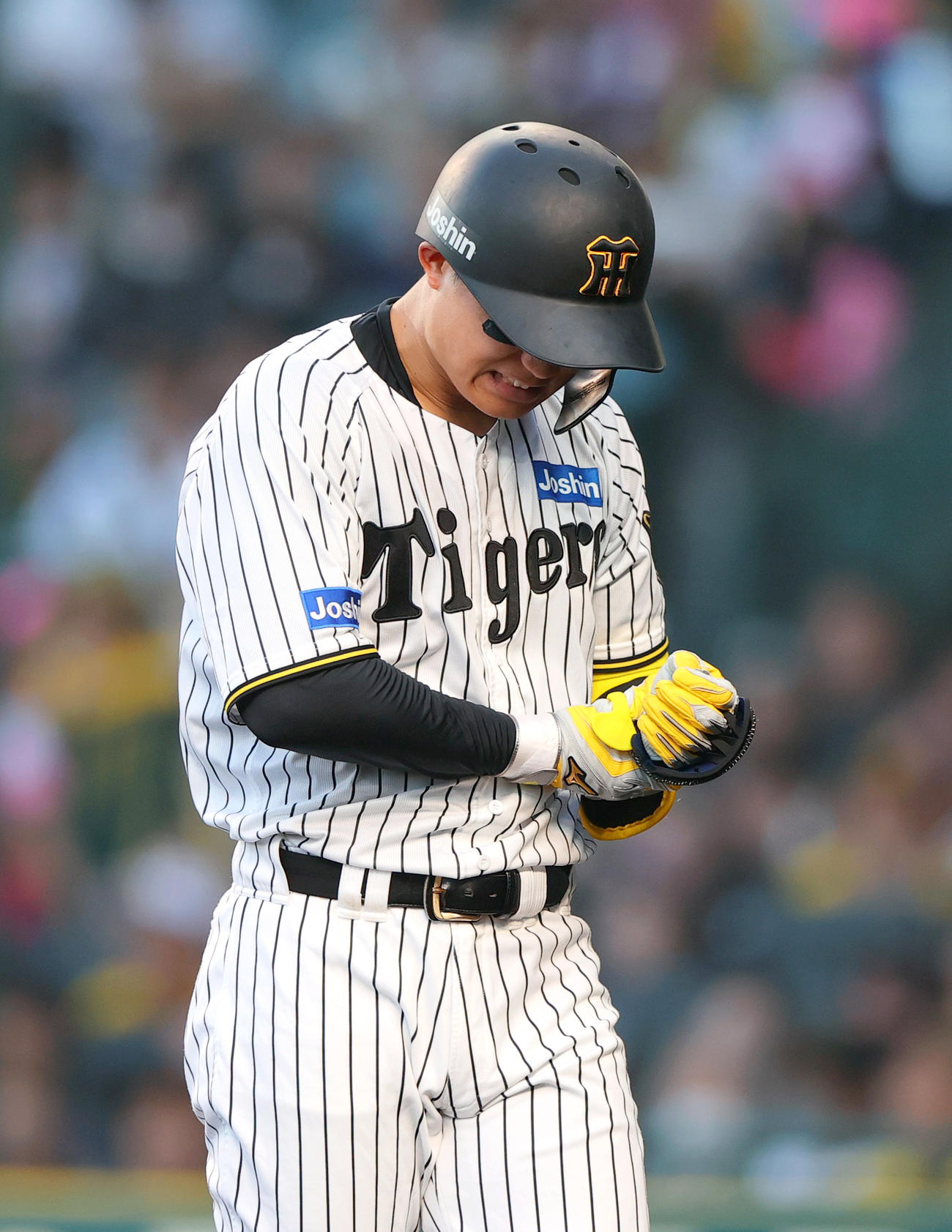 阪神対ロッテ　3回裏阪神2死一塁、森下は死球を受け痛がる（撮影・上山淳一）