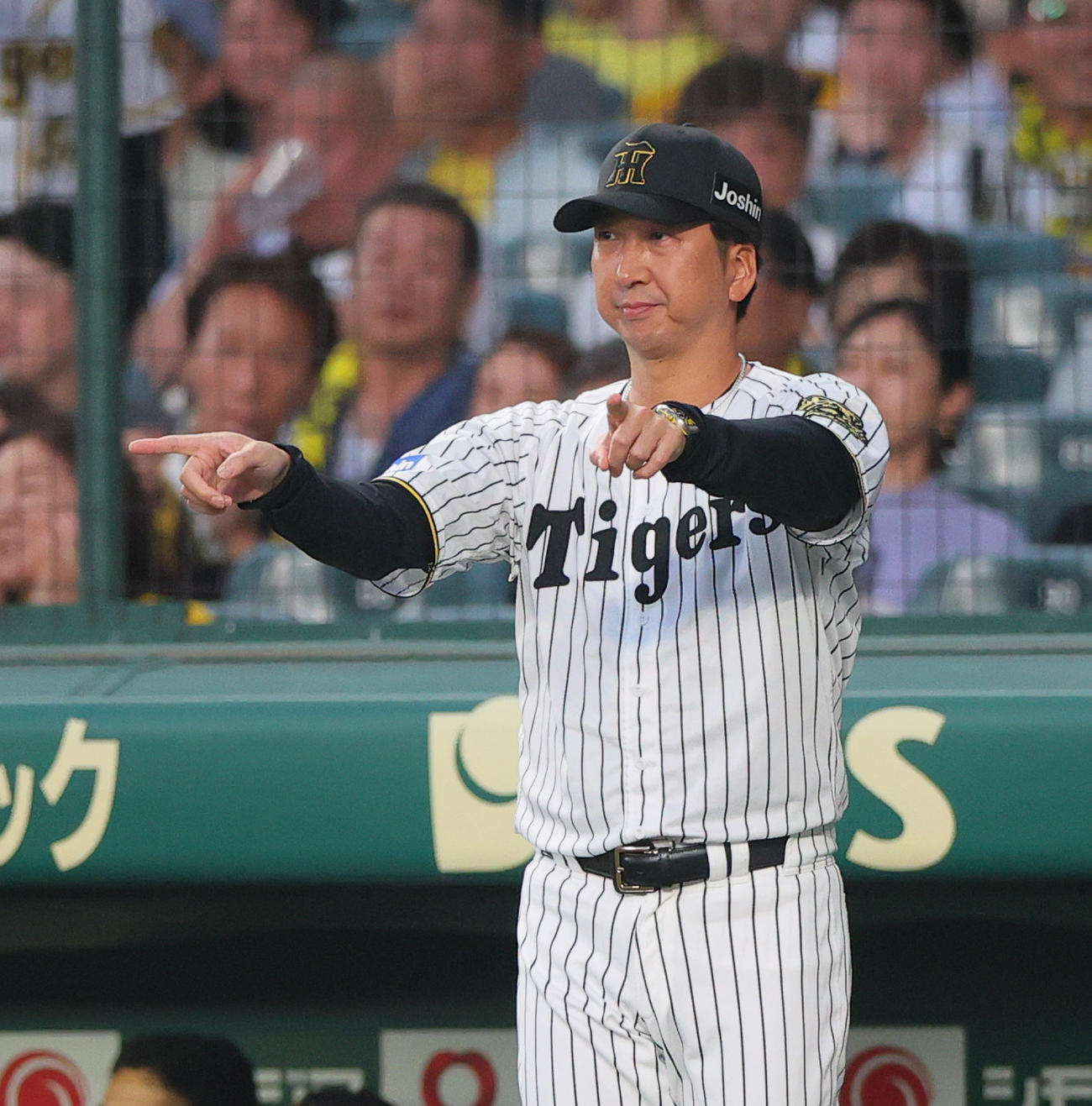 阪神対ロッテ　5回表、高部の一塁セーフ判定にリクエストする藤川監督（撮影・上山淳一）