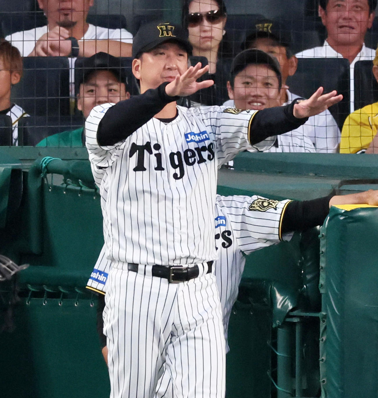 阪神対ロッテ　5回表ロッテ2死、藤川監督は高部の一塁判定にリクエストする（撮影・加藤哉）