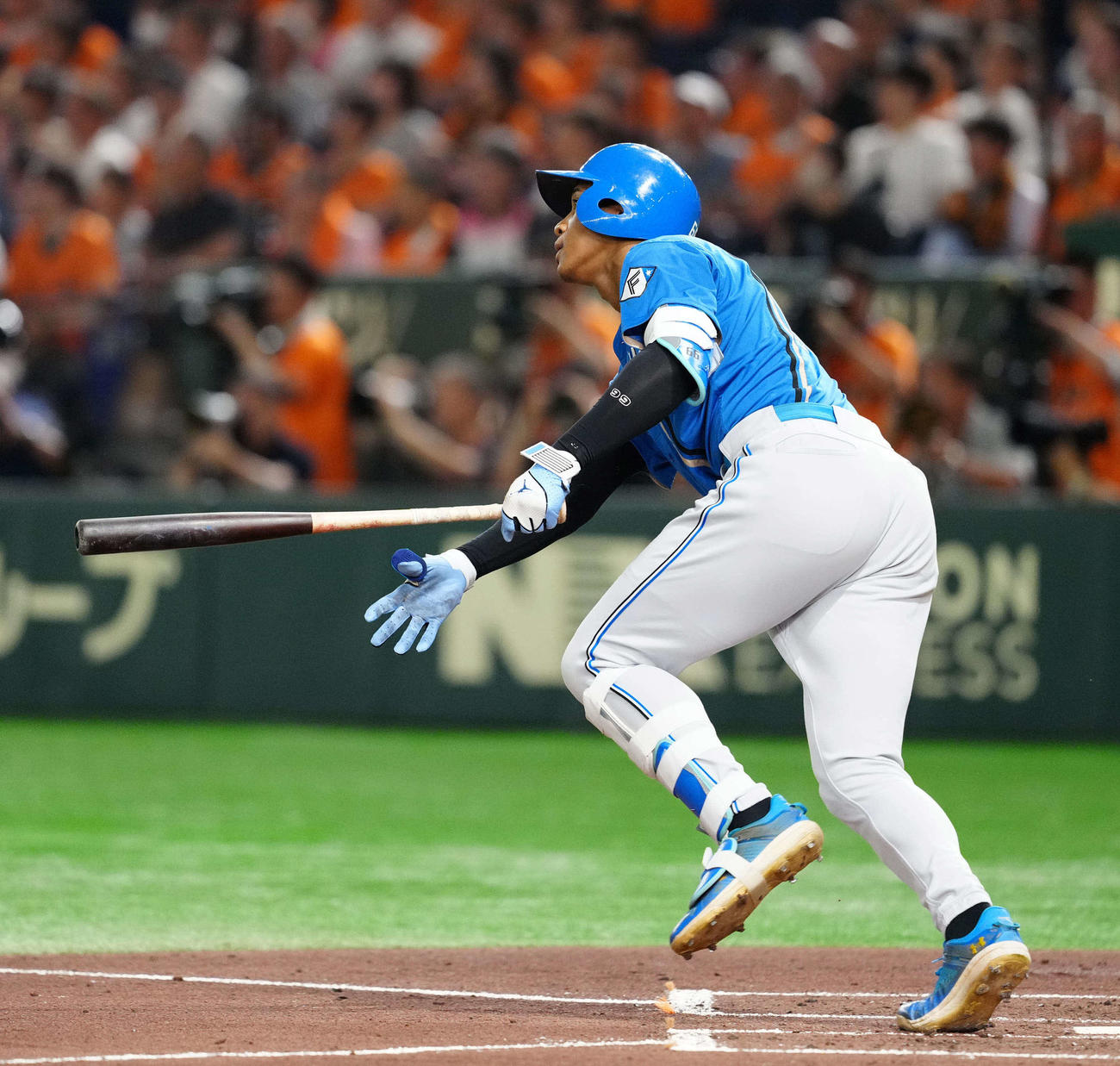 巨人対日本ハム　2回表日本ハム無死一塁、先制2点本塁打を放つ万波（撮影・江口和貴）