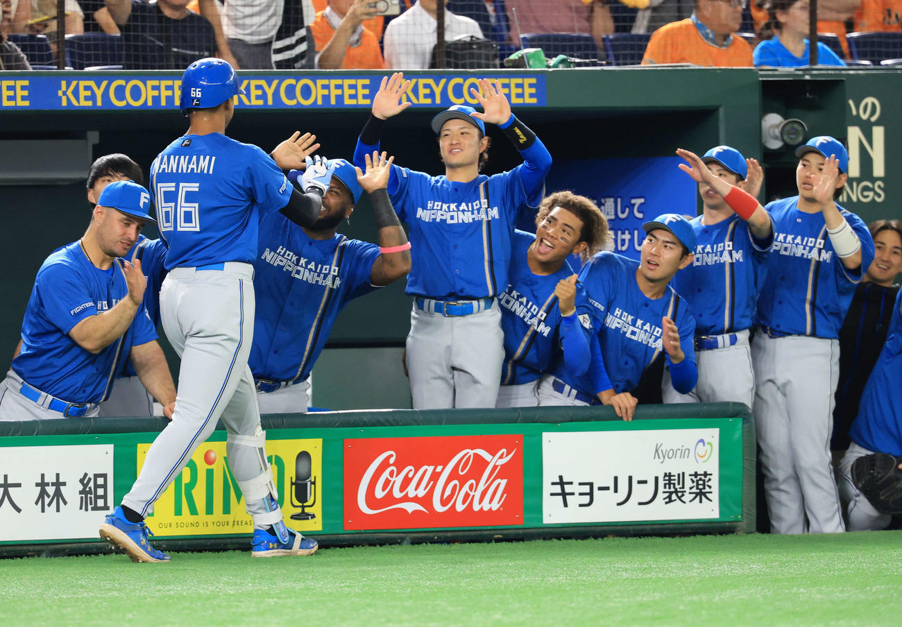 巨人対日本ハム　2回表日本ハム無死一塁、万波（手前）が2点本塁打を放ちハイタッチで迎える選手たち（撮影・浅見桂子）
