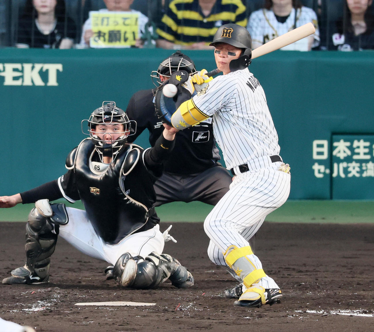 阪神対ロッテ　3回裏阪神2死一塁、森下は死球を受ける（撮影・加藤哉）