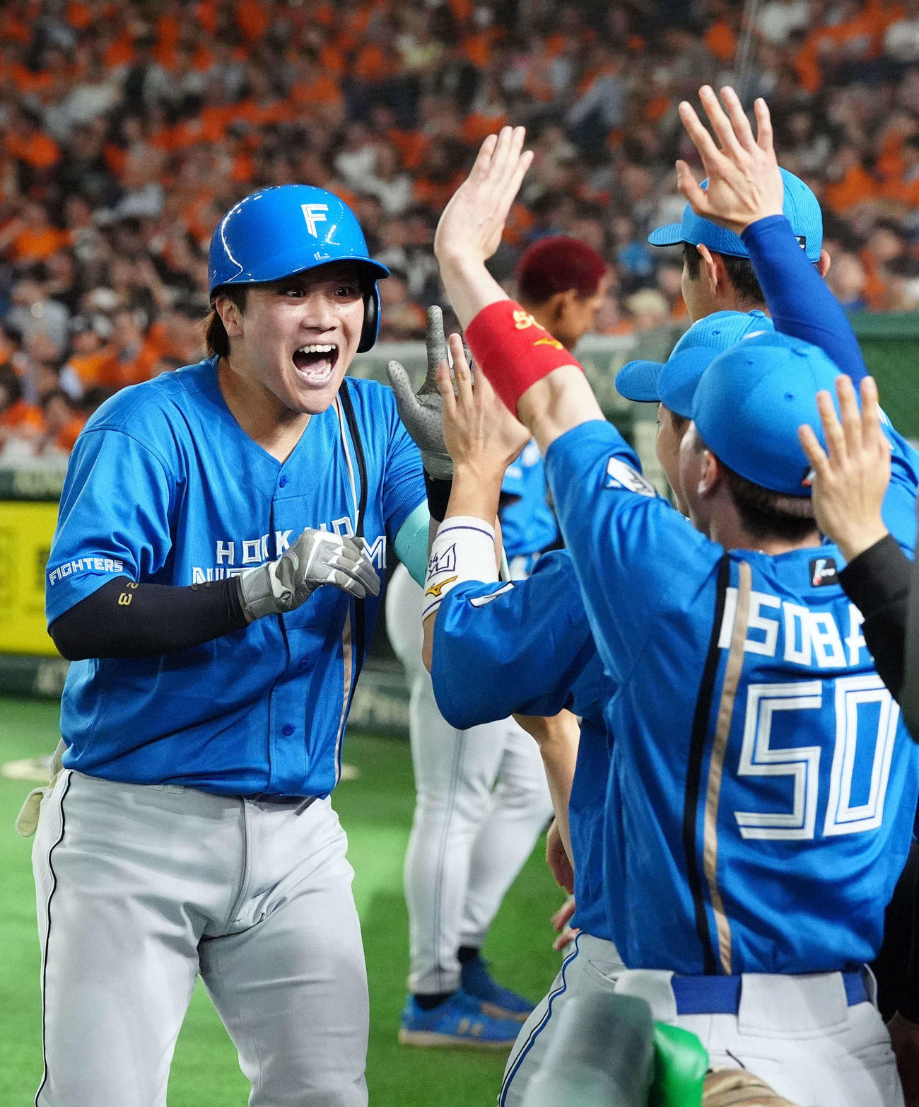 巨人対日本ハム　2回表日本ハム無死、ソロ本塁打を放ち、タッチを交わす伏見（左）（撮影・江口和貴）