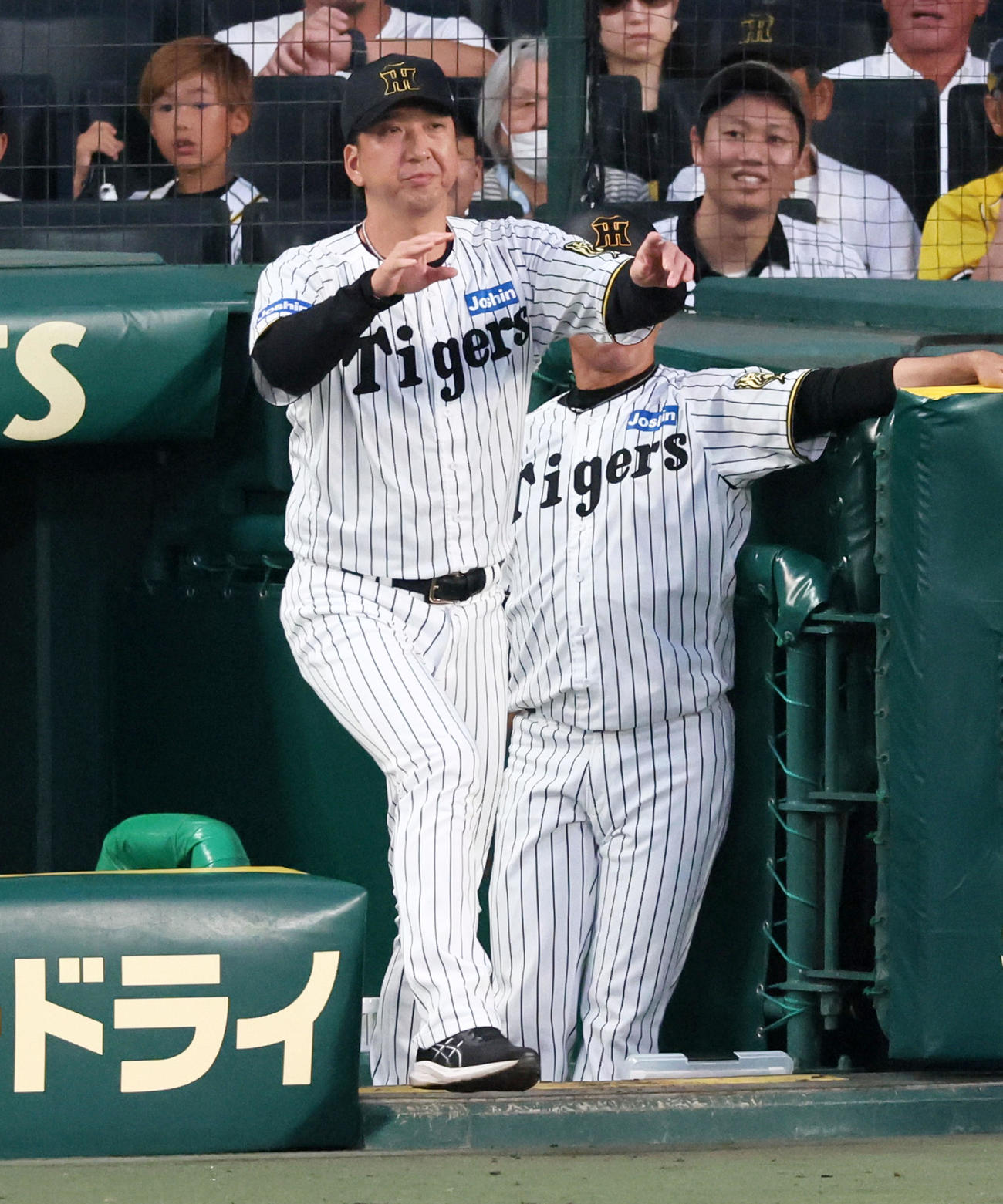 阪神対ロッテ　5回表ロッテ2死、藤川監督は高部の一塁判定にリクエストする（撮影・加藤哉）
