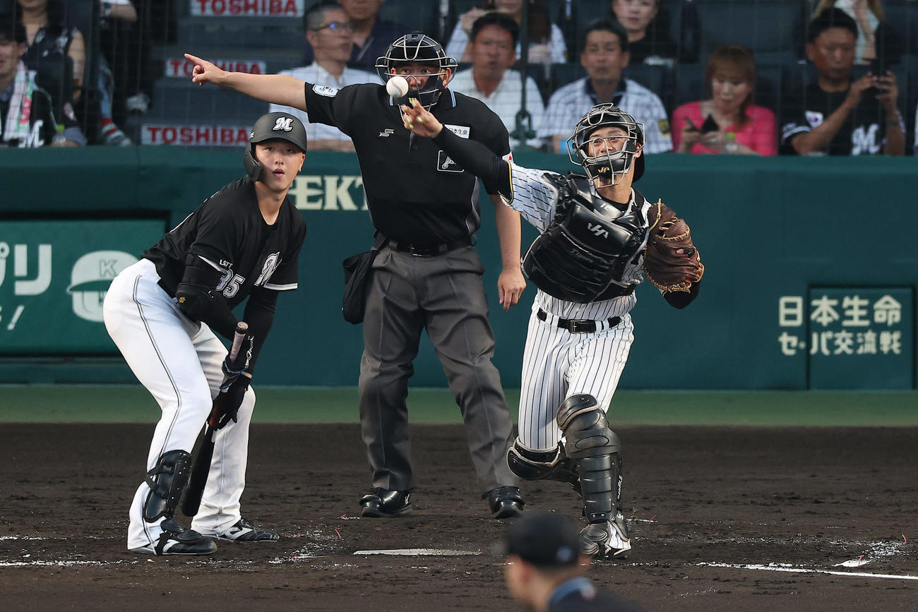阪神対ロッテ　3回表ロッテ無死一塁、友杉の二盗を阻止する坂本。打者田中晴（撮影・前田充）