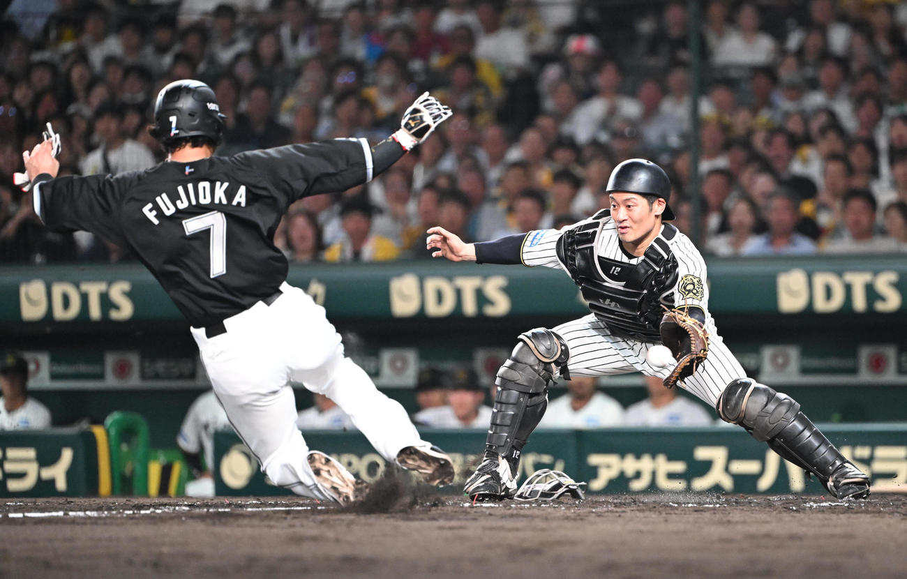 阪神対ロッテ　5回表ロッテ1死一塁、西川の二塁打で本塁を突いた藤岡だがタッチアウト、捕手阪神坂本（撮影・和賀正仁）