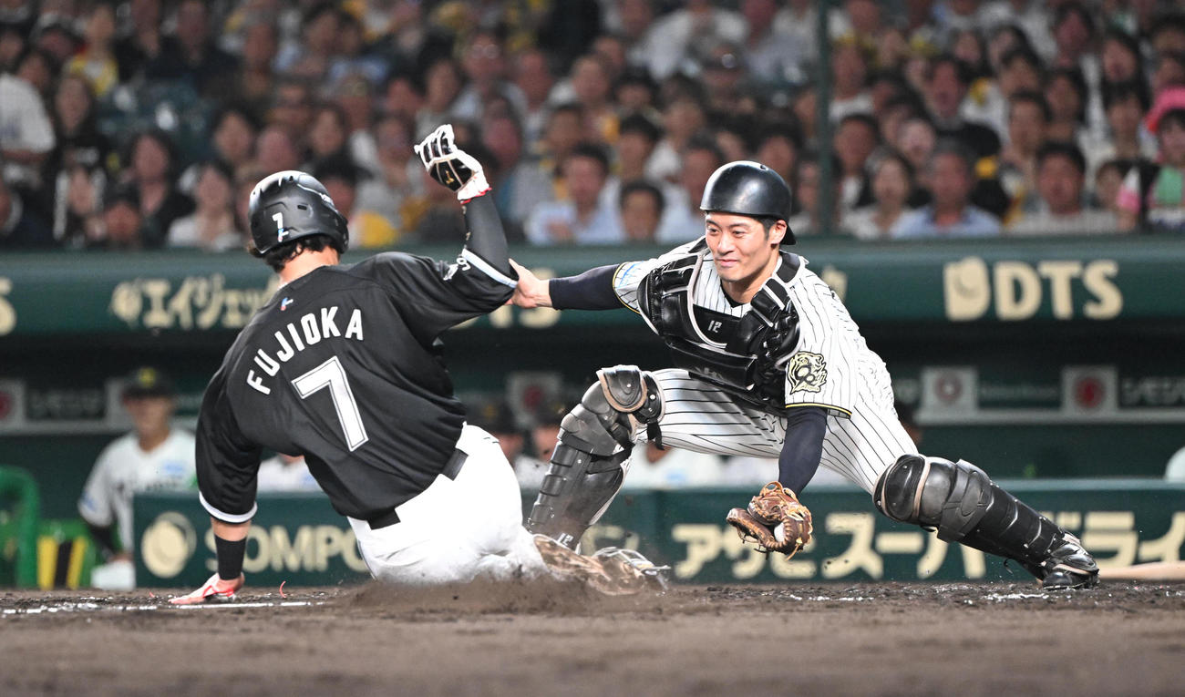 阪神対ロッテ　5回表ロッテ1死一塁、西川の二塁打で本塁を突いた藤岡だがタッチアウト、捕手阪神坂本（撮影・和賀正仁）