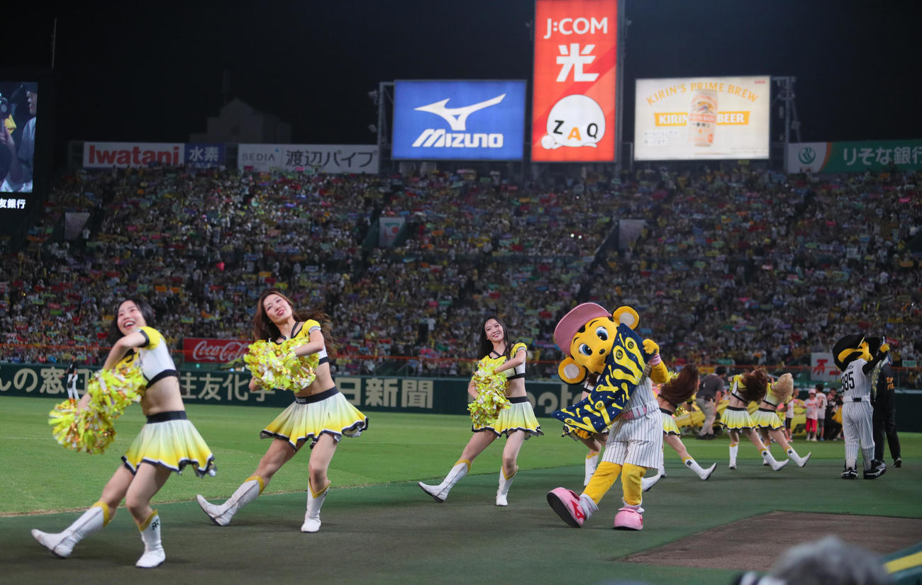 阪神対ロッテ　ラッキーセブンを盛り上げるタイガースガールズ（撮影・上山淳一）