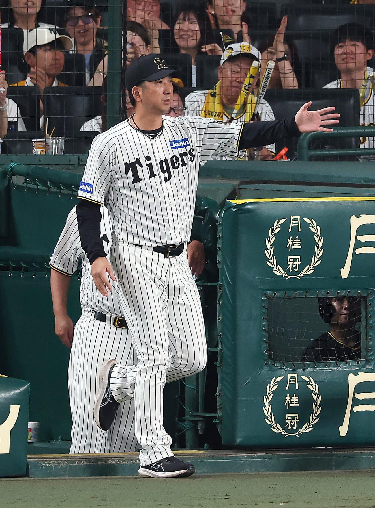 阪神対ロッテ　6回裏阪神無死二塁、伊藤将に代打を送る藤川監督（撮影・前田充）