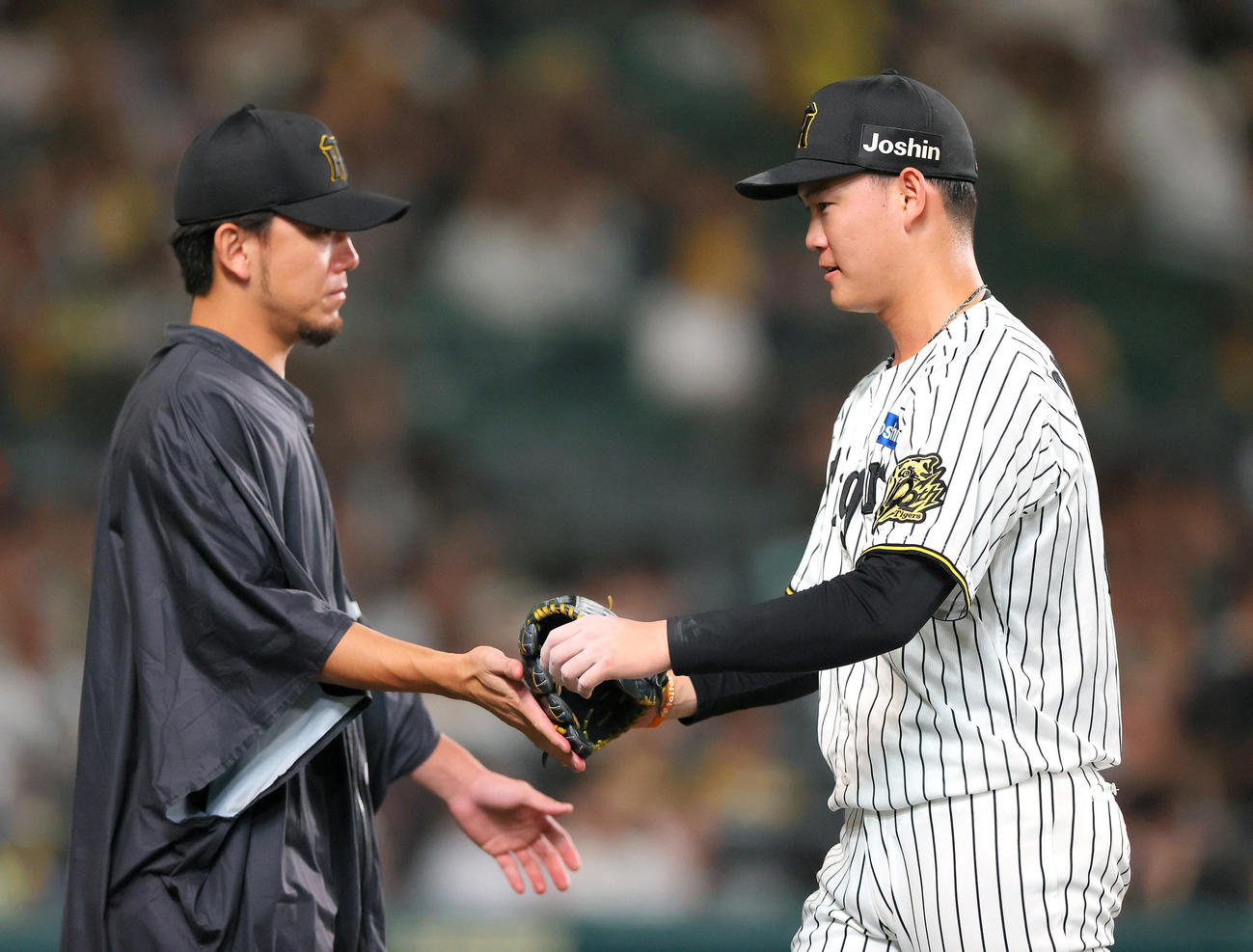 阪神対ロッテ　8回表を3者凡退に抑えた及川（右）をベンチ前で出迎える伊藤将（撮影・上山淳一）