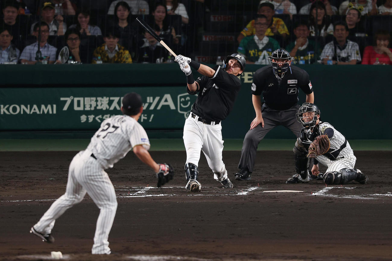阪神対ロッテ　6回表ロッテ1死満塁、中犠飛を放つ安田。投手伊藤将（撮影・前田充）