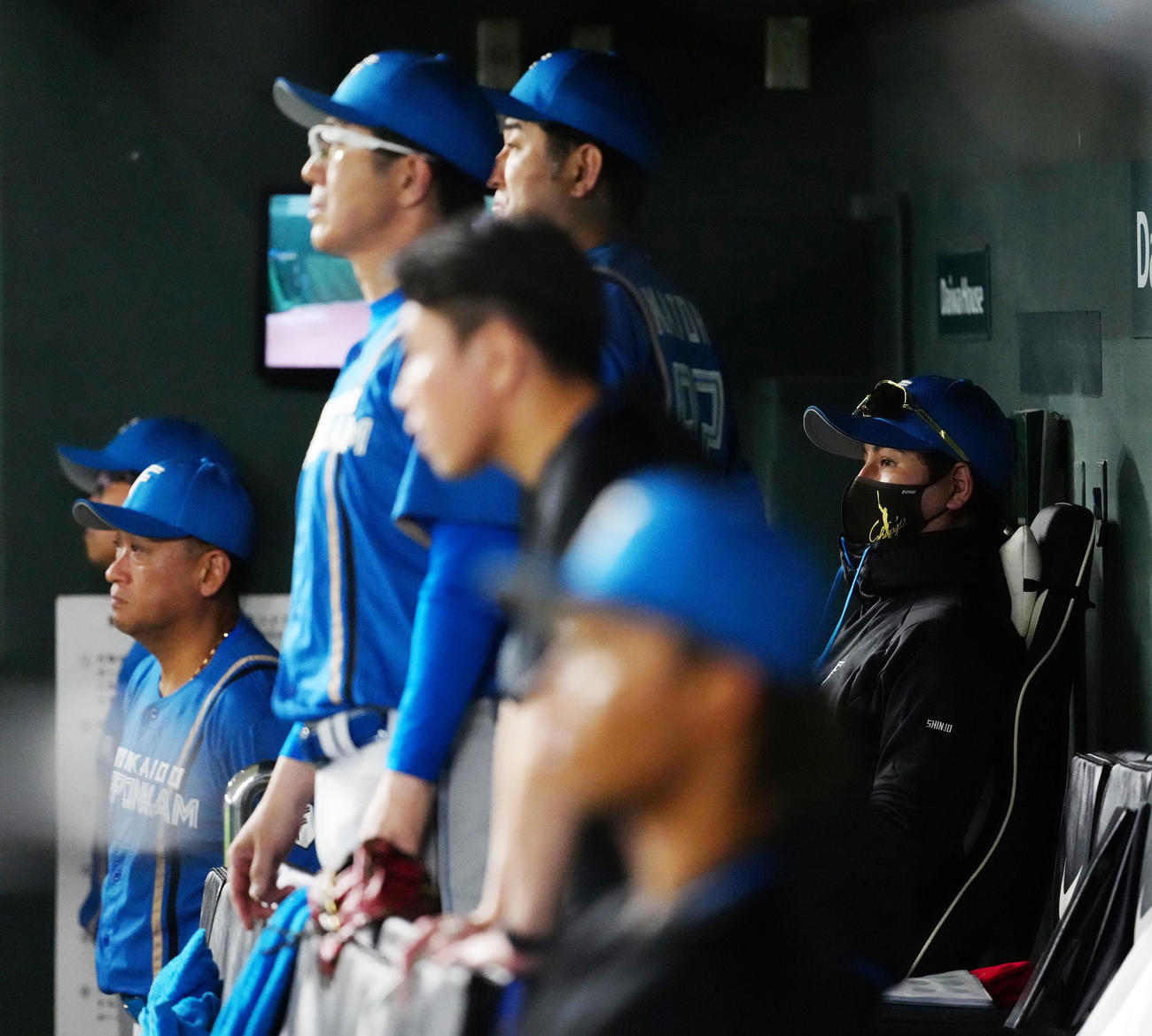 巨人対日本ハム　8回裏、ベンチから戦況を見つめる日本ハム新庄監督（右端）（撮影・江口和貴）