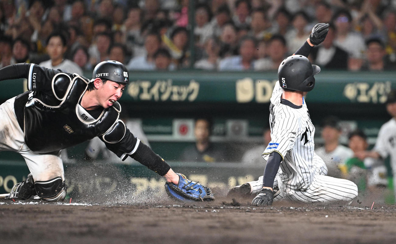 阪神対ロッテ　8回裏阪神2死二塁、中野の右前適時打で生還する近本、捕手寺地（撮影・和賀正仁）