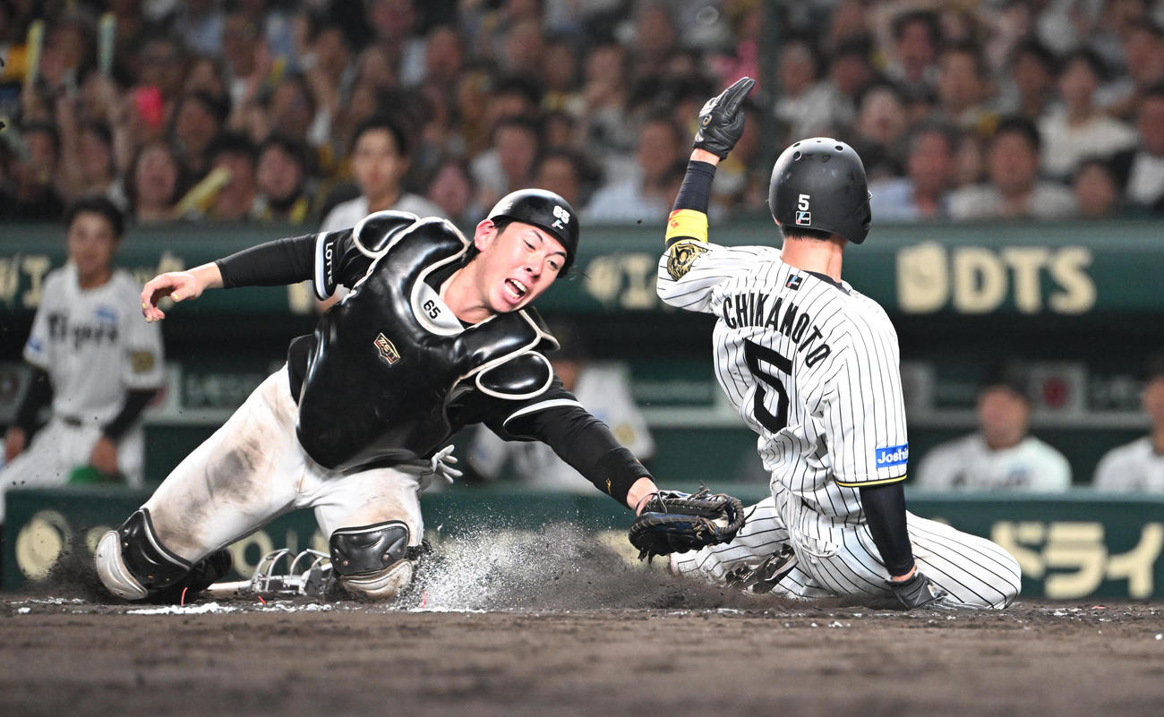阪神対ロッテ　8回裏阪神2死二塁、中野の右前適時打で生還する近本、捕手寺地（撮影・和賀正仁）