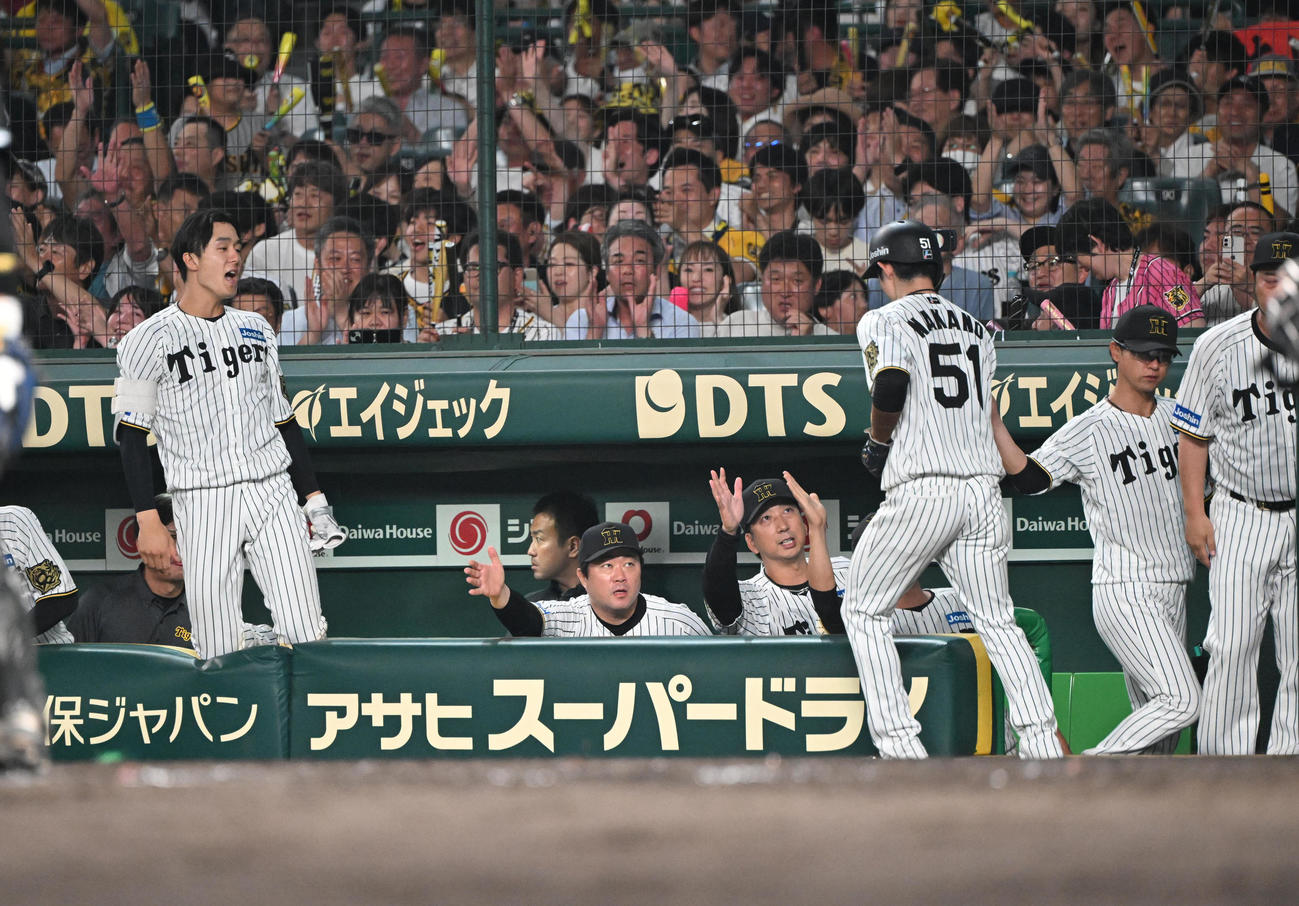 阪神対ロッテ　5回裏阪神1死一、二塁、大山の適時打で生還した中野を迎える藤川監督（撮影・和賀正仁）
