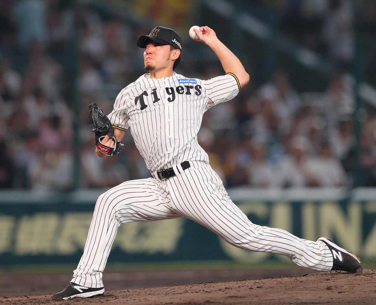 阪神対ロッテ　5回表、力投する阪神伊藤将（撮影・上山淳一）