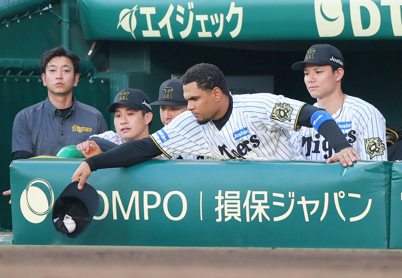 阪神対ロッテ　3回裏阪神2死一、二塁、佐藤輝のファウルを帽子でキャッチのヘルナンデス（撮影・上山淳一）