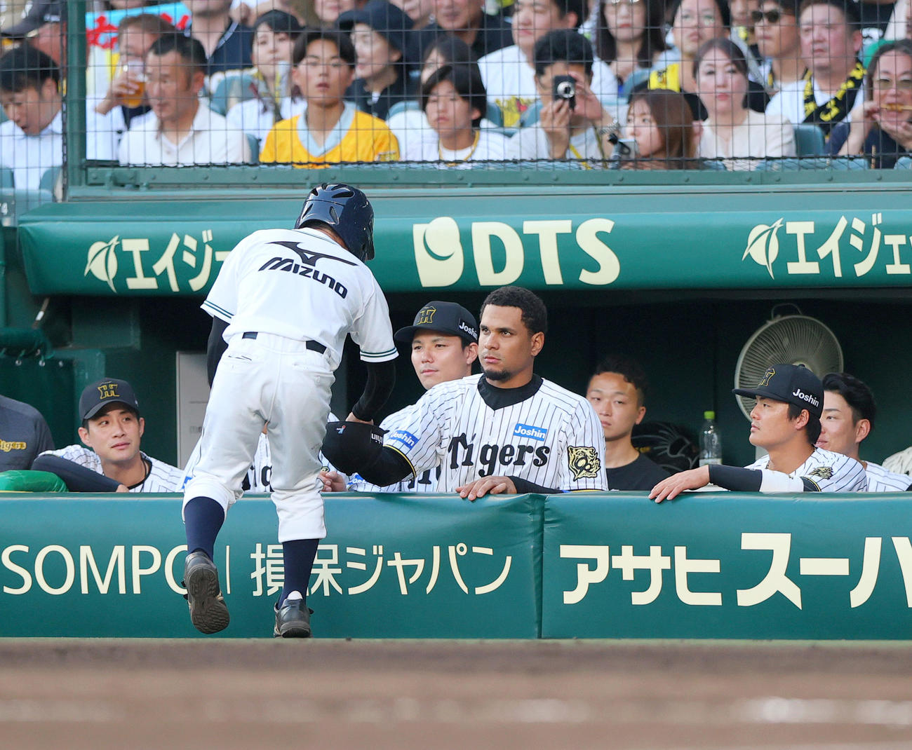 阪神対ロッテ　3回裏阪神2死一、二塁、佐藤輝明のファウルを帽子でキャッチのヘルナンデス（撮影・上山淳一）
