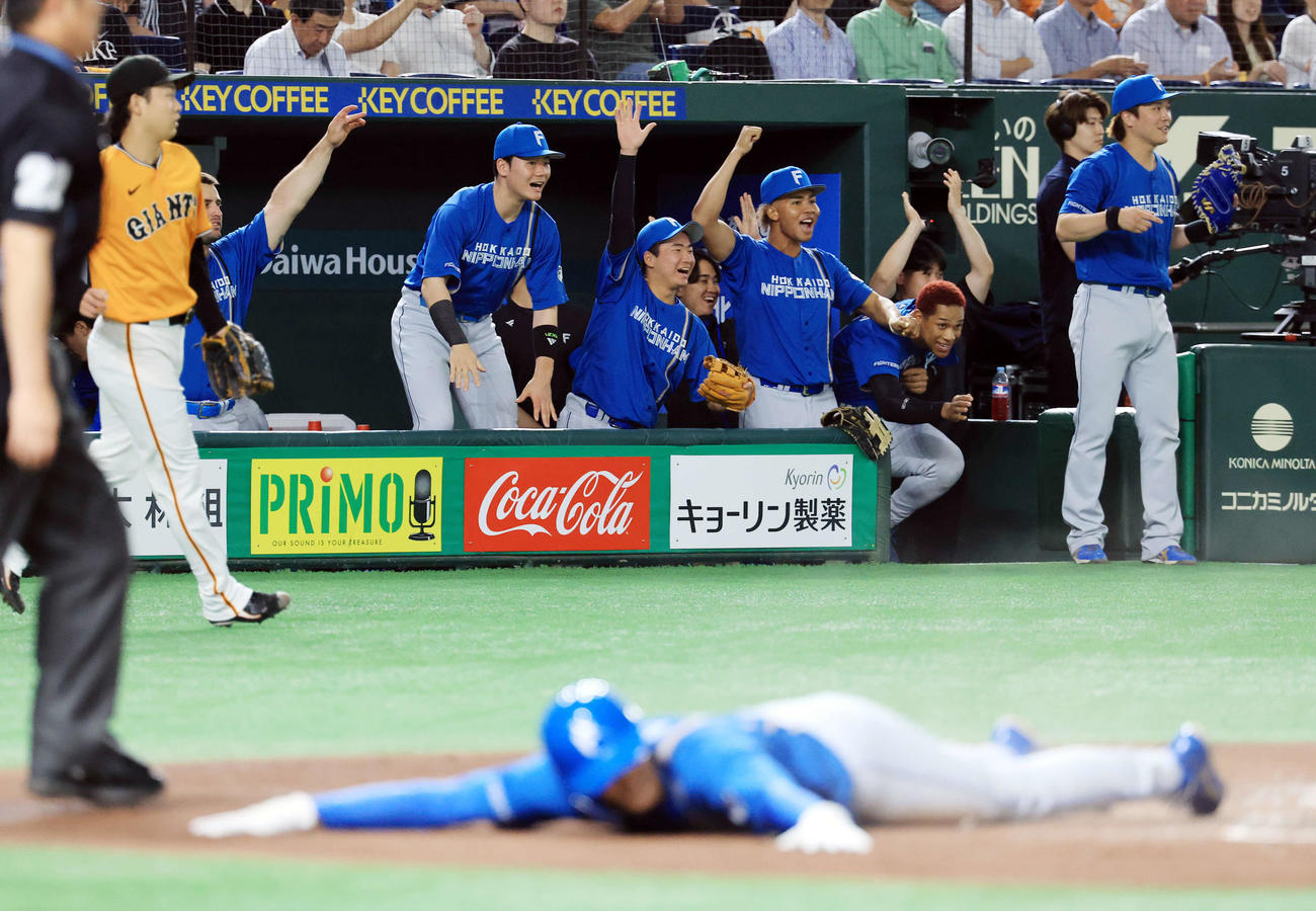 巨人対日本ハム　2回表日本ハム2死一塁、上川畑の適時二塁打で一気に本塁生還した石井（手前）の奥でガッツポーズで喜ぶ伏見（右）ら日本ハムベンチ（撮影・浅見桂子）
