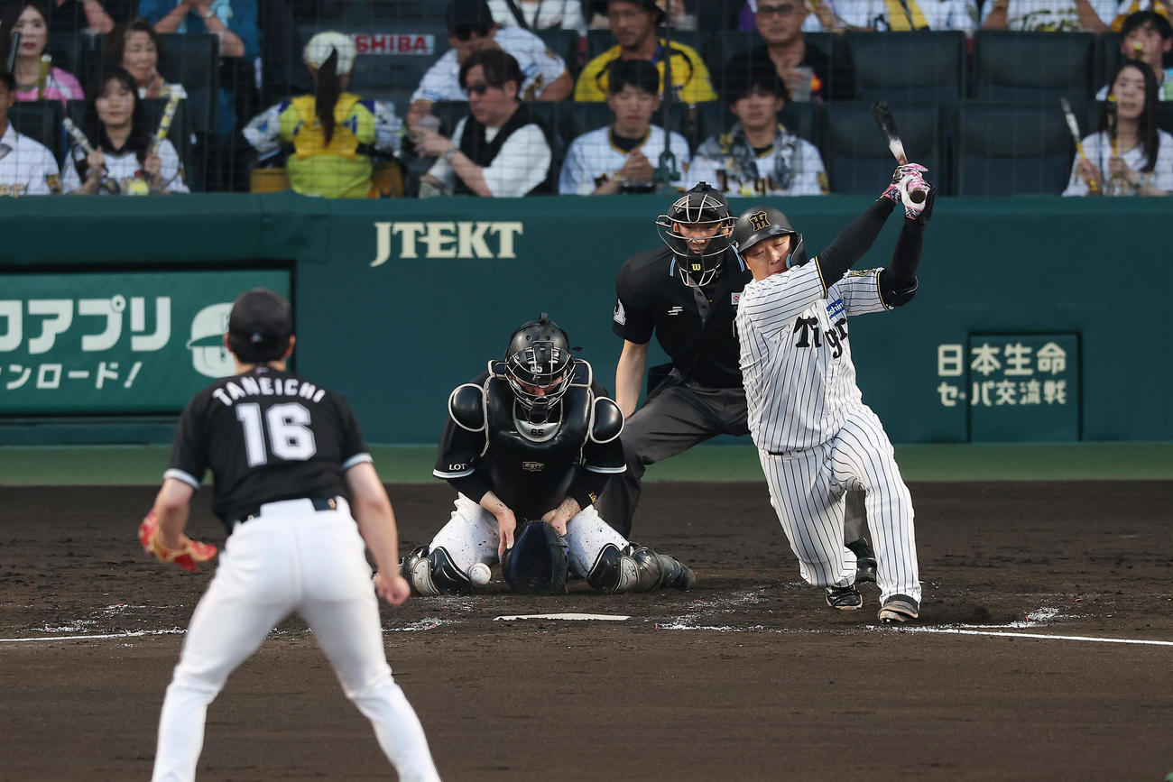 阪神対ロッテ　3回裏阪神2死満塁、空振り三振に倒れる大山。投手種市（撮影・前田充）