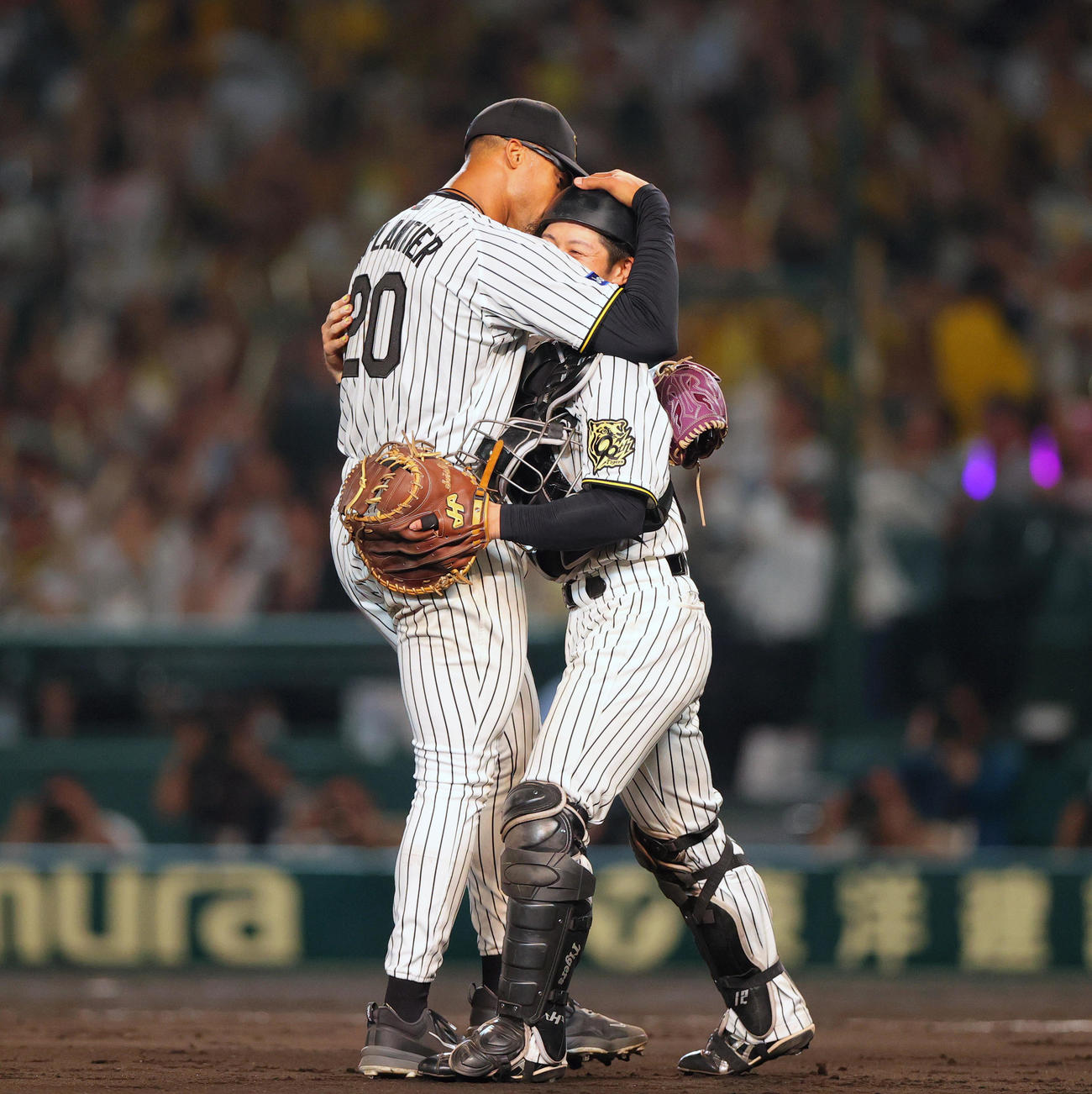 阪神対ロッテ　阪神デュプランティエ（左）はロッテ打線を4安打完封し捕手坂本と抱き合って喜ぶ（撮影・上山淳一）