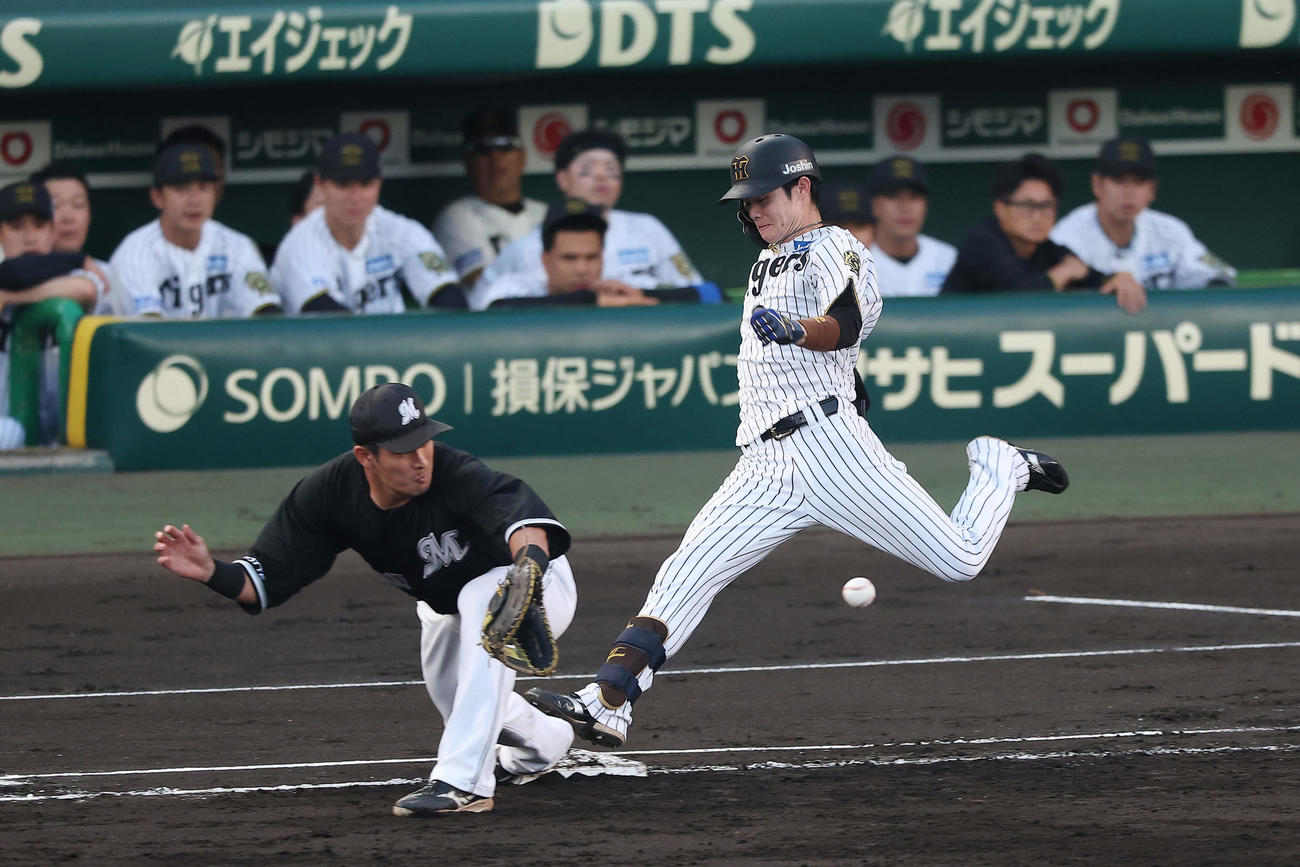 阪神対ロッテ　3回裏阪神2死、三塁内野安打で一塁へ駆け込む中野。一塁手池田（撮影・前田充）