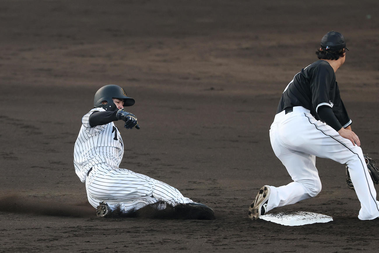 阪神対ロッテ　3回裏阪神2死一塁、二盗を決める中野（撮影・前田充）