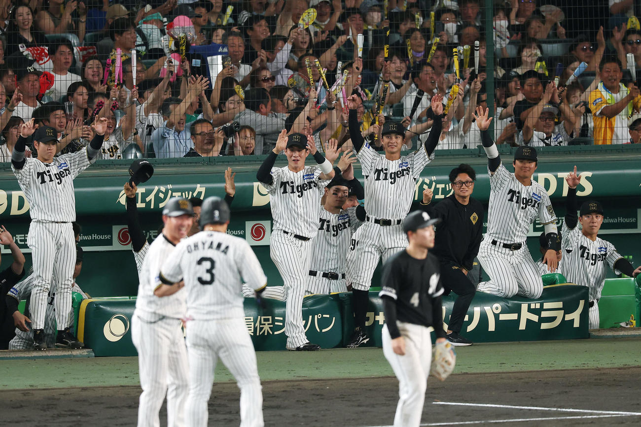 阪神対ロッテ　7回裏阪神2死一、二塁、大山（手前）が適時打を放ち喜ぶ阪神の選手たち（撮影・前田充）