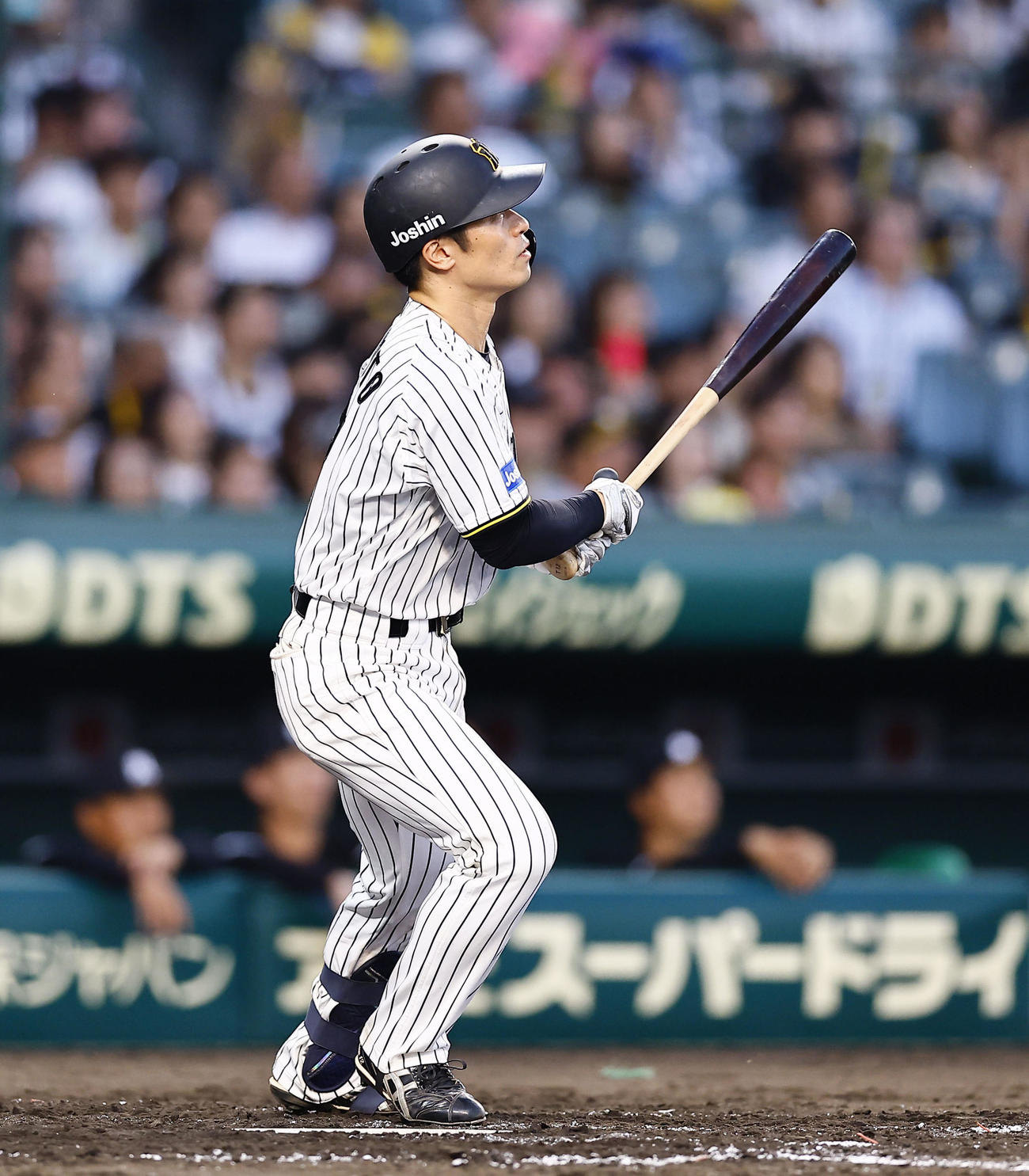阪神対ロッテ　4回裏阪神無死一塁、坂本は中前打を放つ（撮影・藤尾明華）
