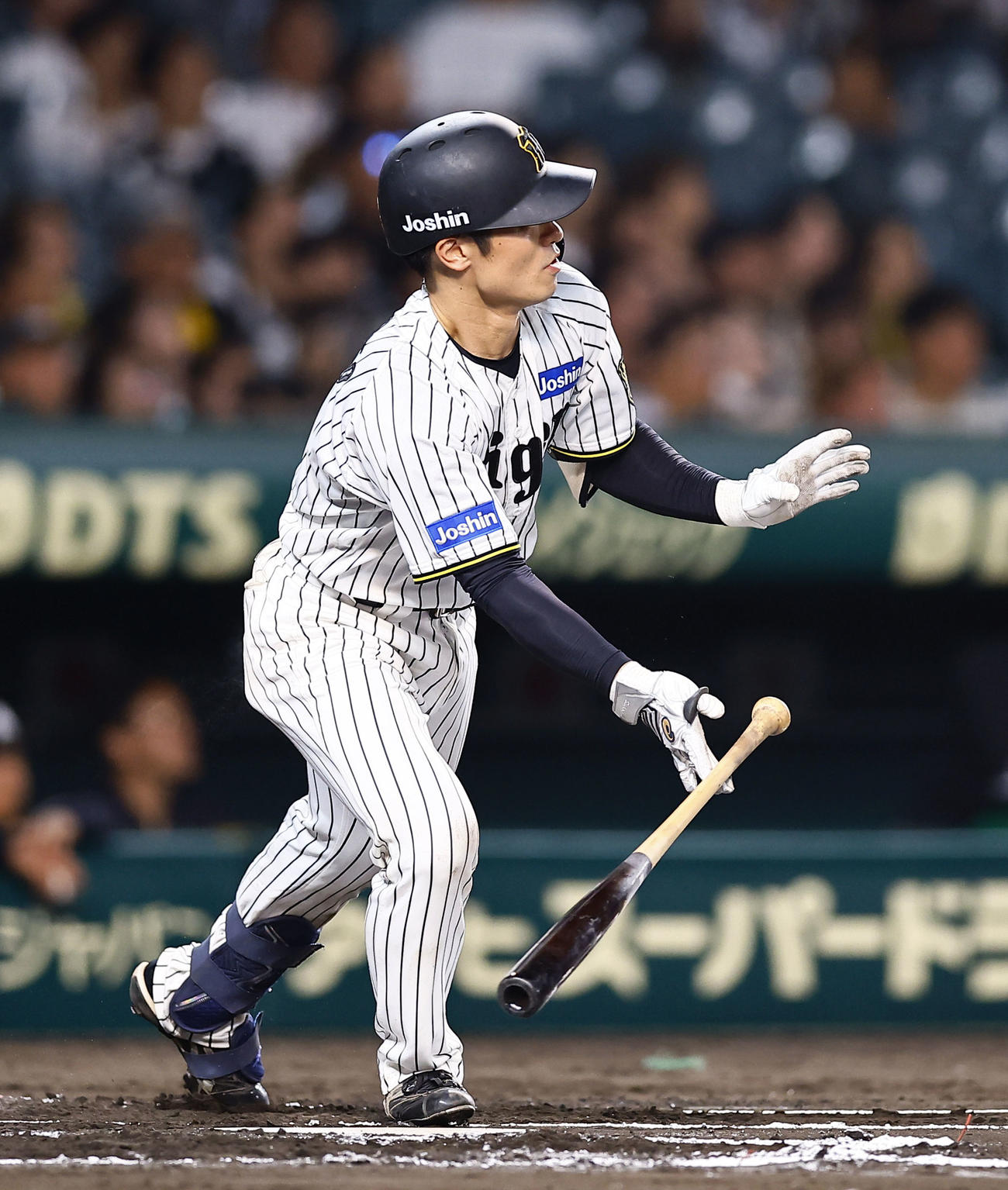 阪神対ロッテ　6回裏阪神1死、坂本は左越えに二塁打を放つ（撮影・藤尾明華）