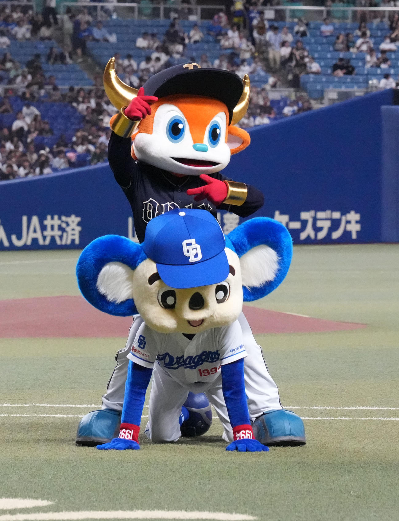 中日対オリックス　試合前、パフォーマンスを披露する上からバファローブルとドアラ（撮影・森本幸一）