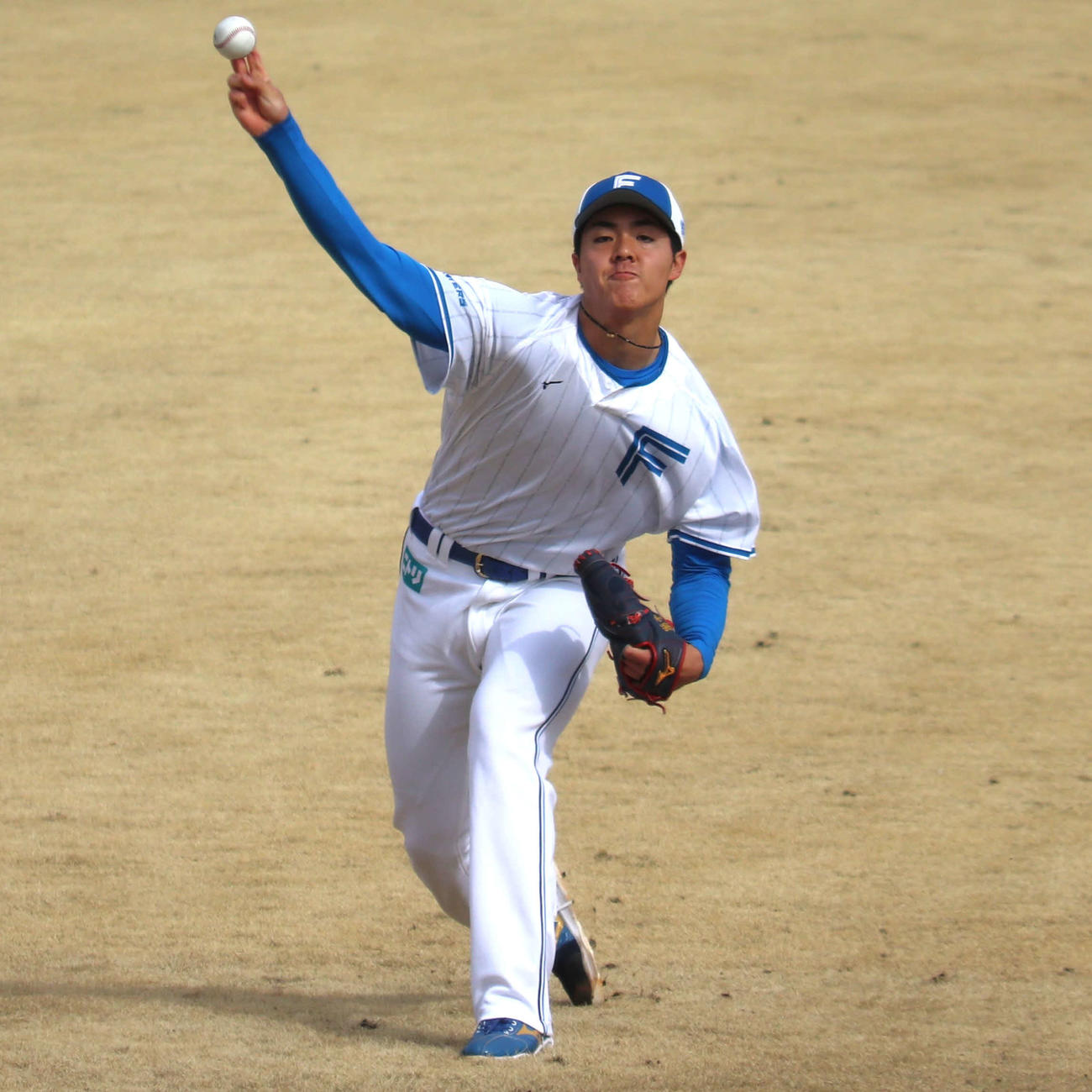 日本ハム柴田獅子（2025年3月15日撮影）