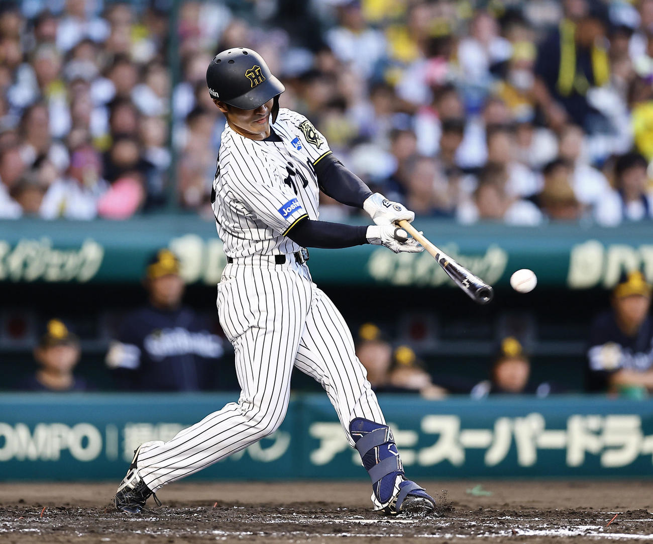 阪神対ソフトバンク　2回裏阪神1死一塁、坂本は左安打を放つ（撮影・藤尾明華）