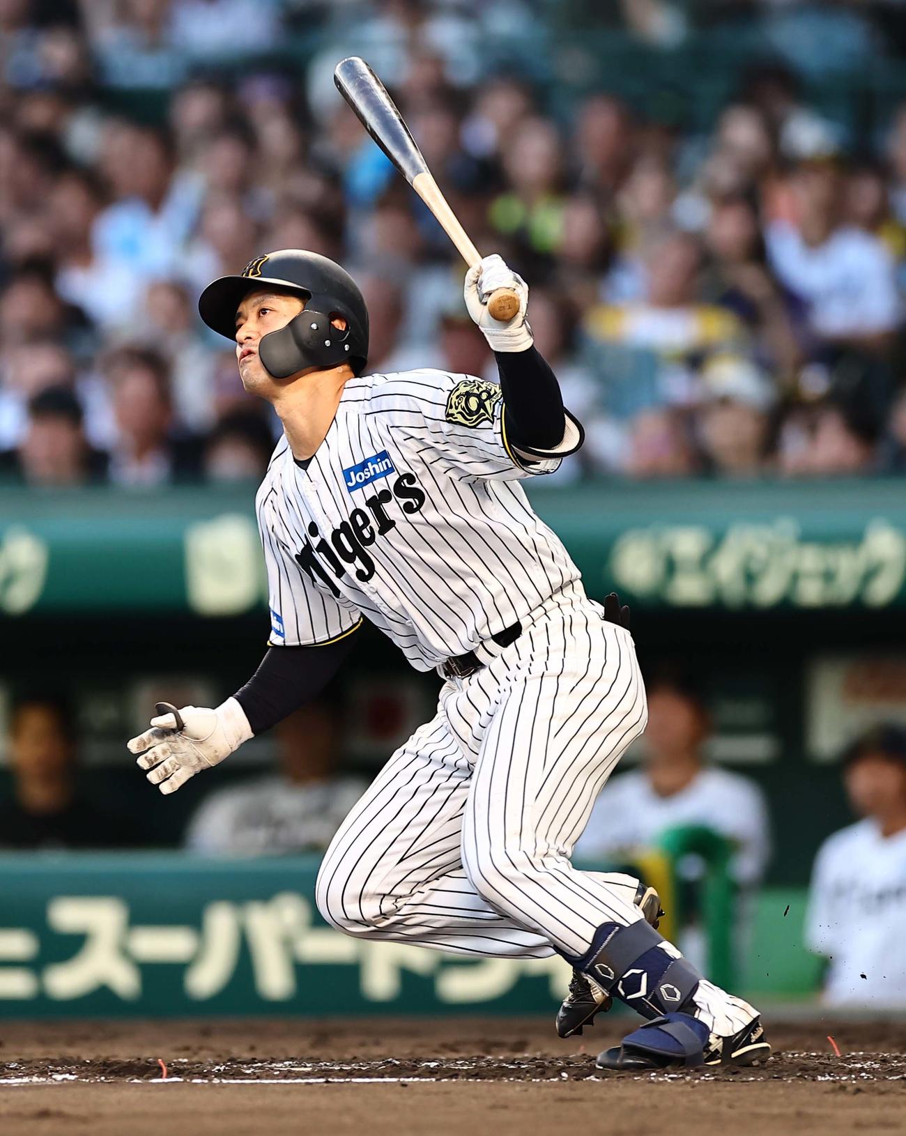 阪神対ソフトバンク　2回裏阪神1死一塁、坂本は左前打を放つ（撮影・上田博志）