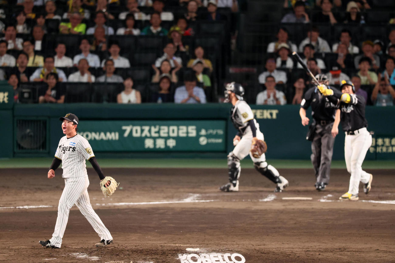 阪神対ソフトバンク　8回表ソフトバンク2死、村上は佐藤を三振に仕留めマウンドで雄たけびを上げる（撮影・加藤哉）