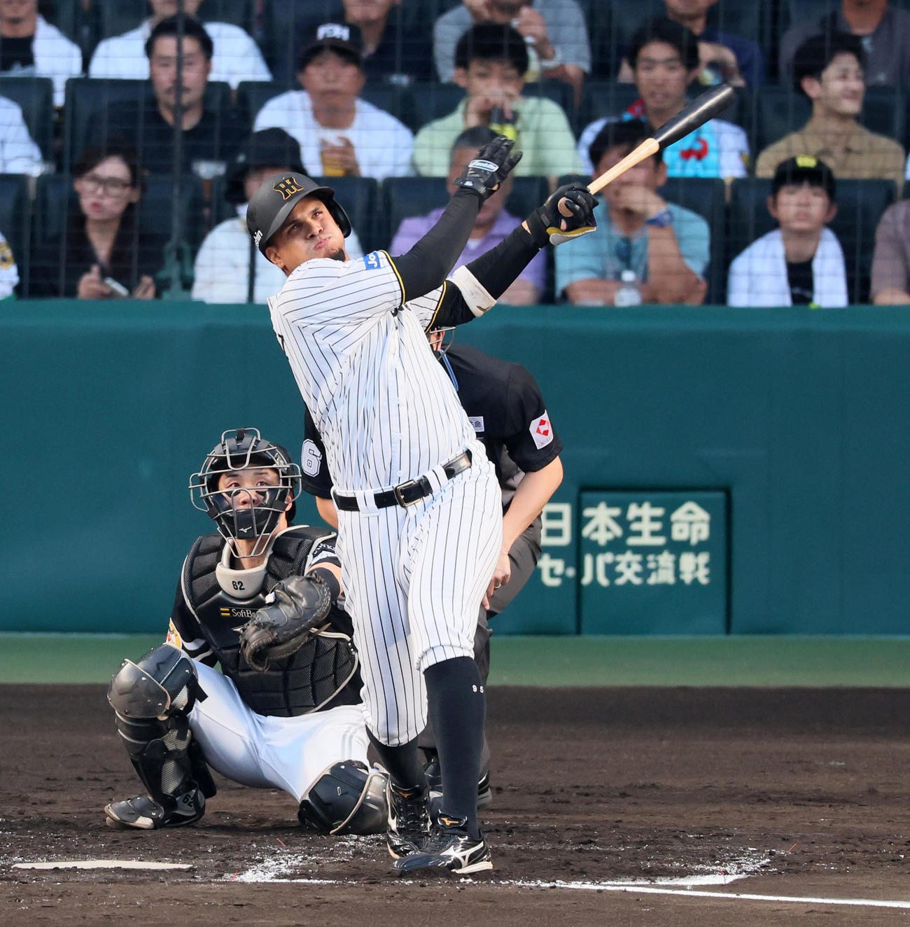 阪神対ソフトバンク　2回裏阪神1死、ヘルナンデスは左前打を放つ（撮影・加藤哉）