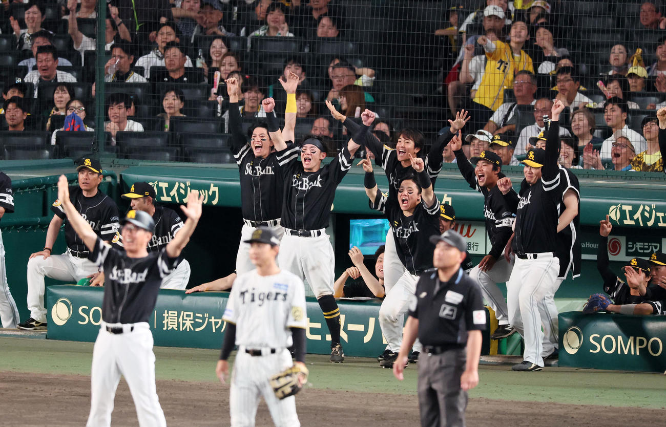 阪神対ソフトバンク　10回表ソフトバンク2死三塁、代打石塚の右越え適時二塁打に盛り上がるベンチのナイン（撮影・加藤哉）