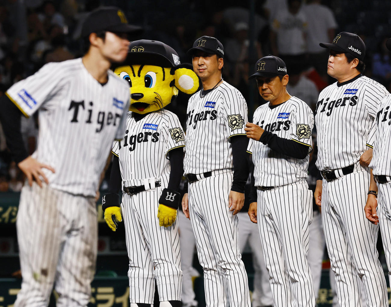 阪神対ソフトバンク　ソフトバンクに敗れ、整列する阪神藤川監督（中央）ら（撮影・藤尾明華）